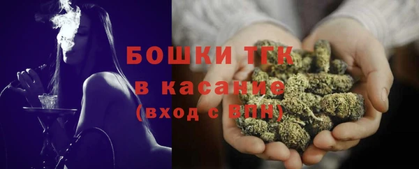 гашик Алексеевка