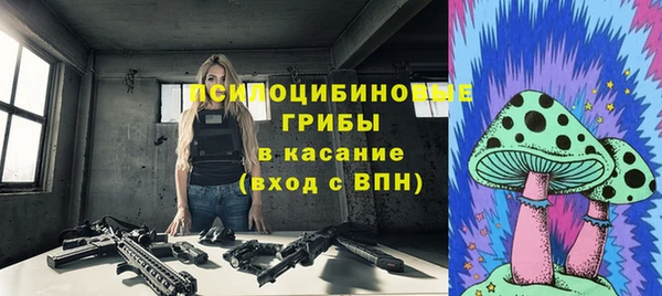 гашик Алексеевка