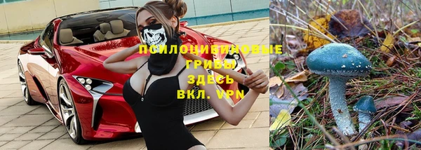 бутират Алексин