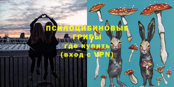 гашик Алексеевка