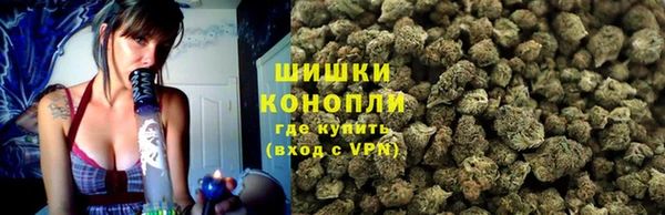 гашик Алексеевка