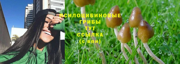 шишки Алзамай