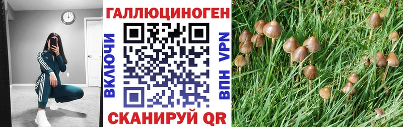 Галлюциногенные грибы Psilocybe  Артёмовский 